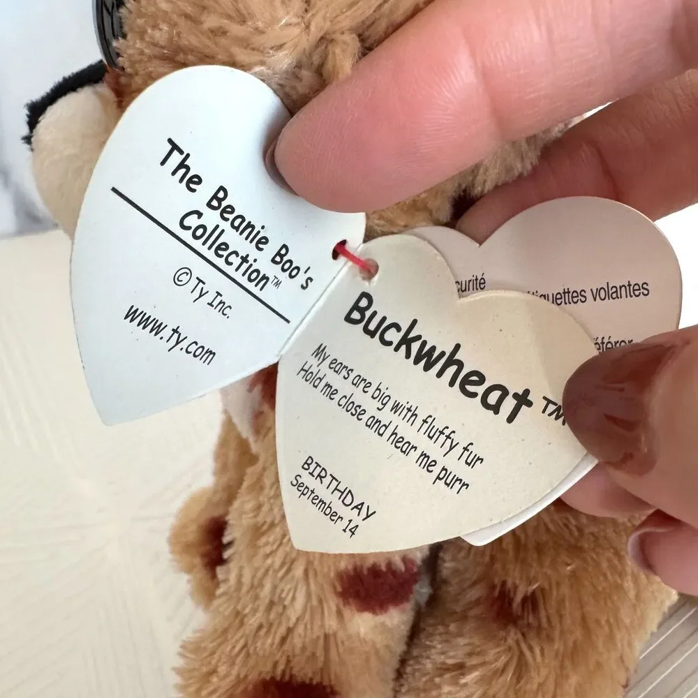 TY Beanie Boos -BUCKWHEAT the Lynx (Glitter Eyes, 6
